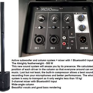 COMBO-ACTIVO SUB-WOOFER 10 - Image 1