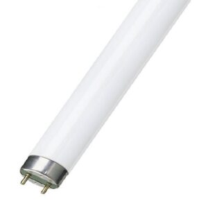 LAMPADA T8-24W 150cm LED 4000K/2400lm ligação 1-LADOS - Image 1